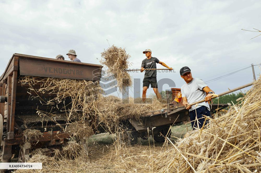 15th edition of Welcome to the Countryside - Montbeton
