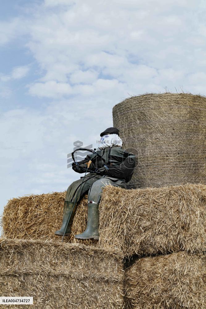 15th edition of Welcome to the Countryside - Montbeton