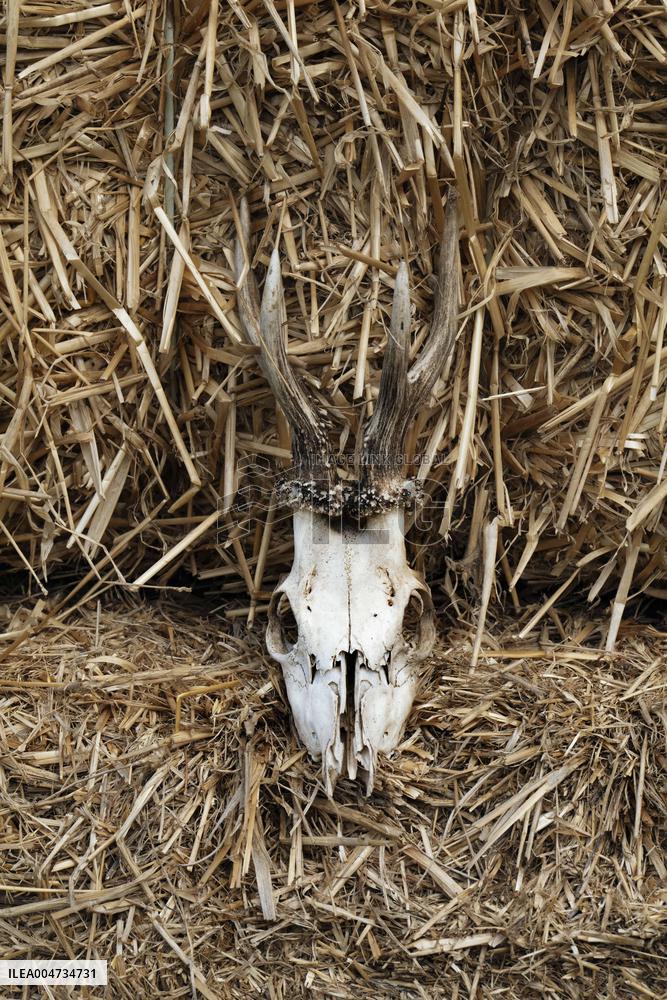 15th edition of Welcome to the Countryside - Montbeton