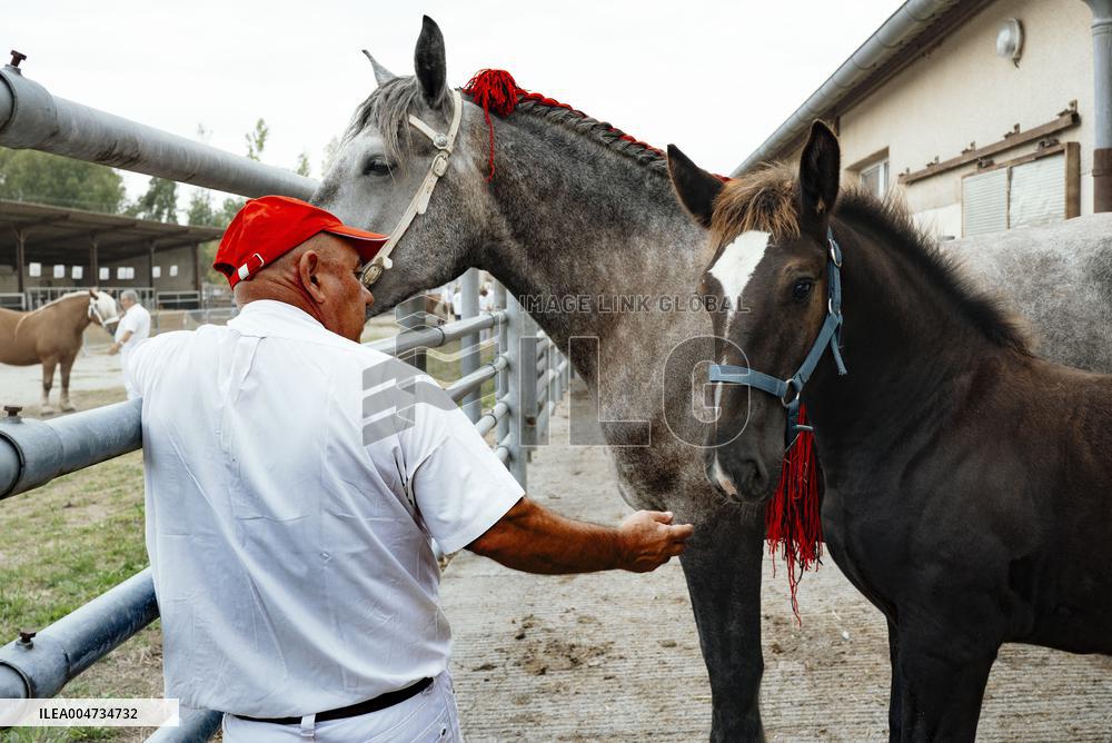 15th edition of Welcome to the Countryside - Montbeton