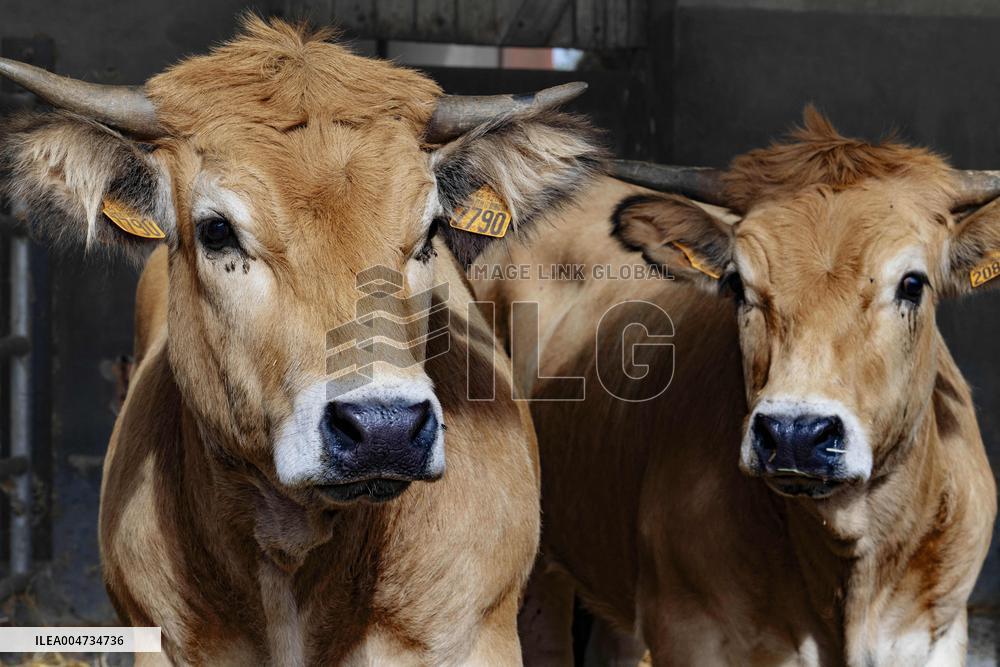 15th edition of Welcome to the Countryside - Montbeton