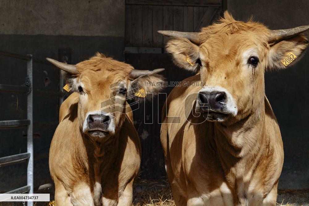 15th edition of Welcome to the Countryside - Montbeton