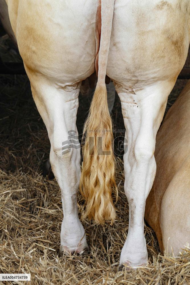 15th edition of Welcome to the Countryside - Montbeton