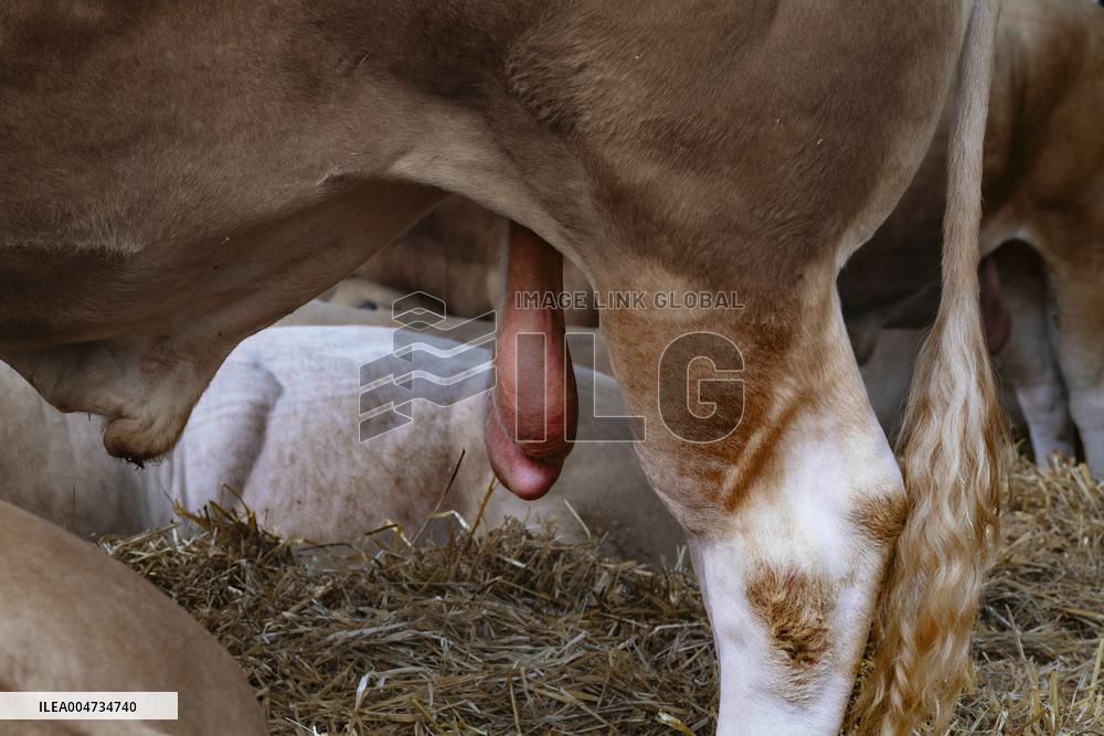 15th edition of Welcome to the Countryside - Montbeton