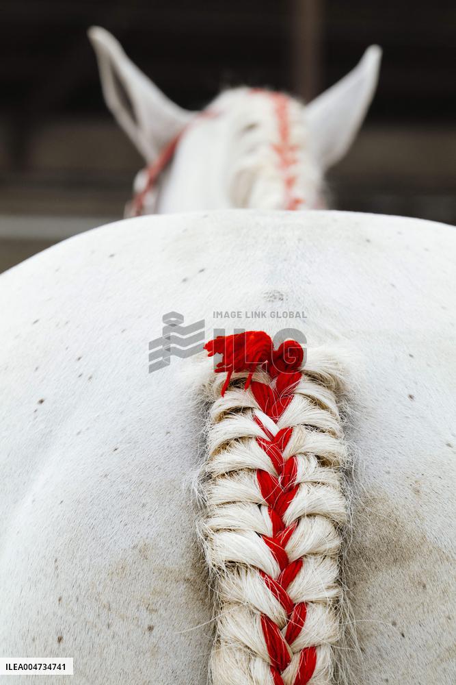 15th edition of Welcome to the Countryside - Montbeton