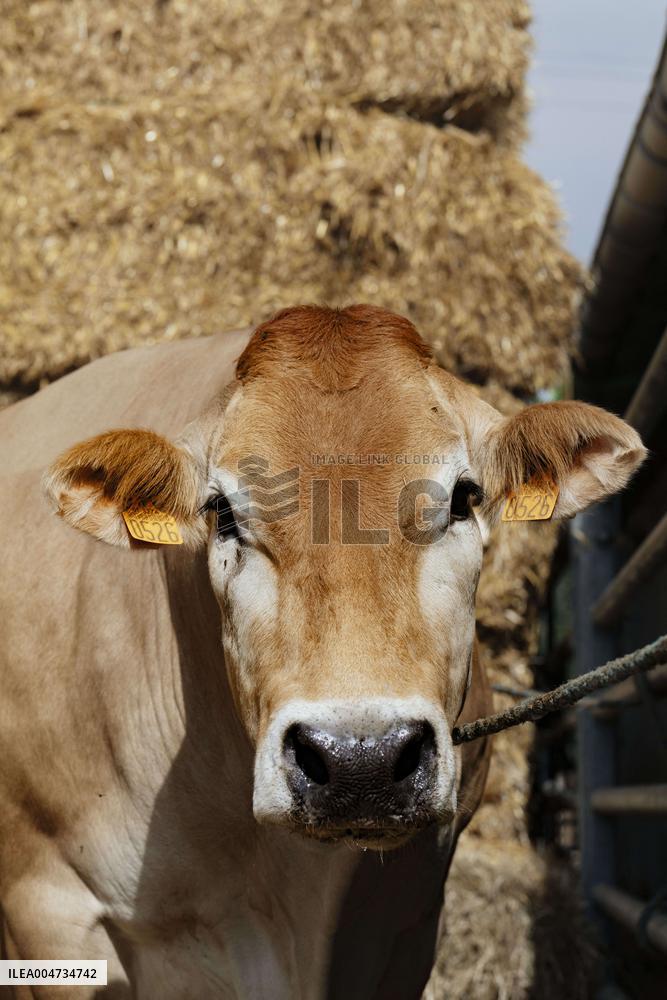 15th edition of Welcome to the Countryside - Montbeton