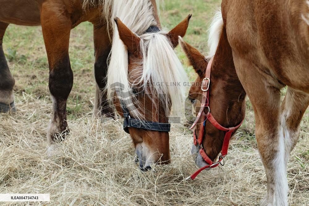 15th edition of Welcome to the Countryside - Montbeton