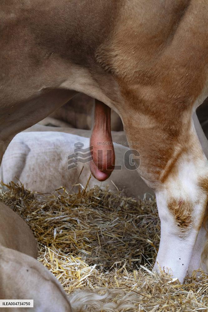 15th edition of Welcome to the Countryside - Montbeton