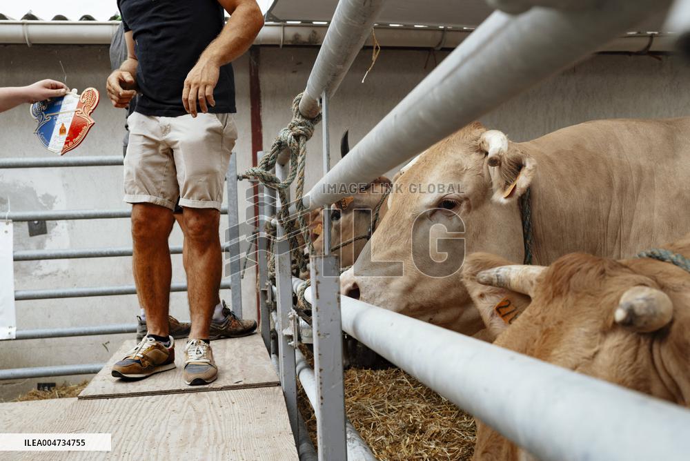 15th edition of Welcome to the Countryside - Montbeton