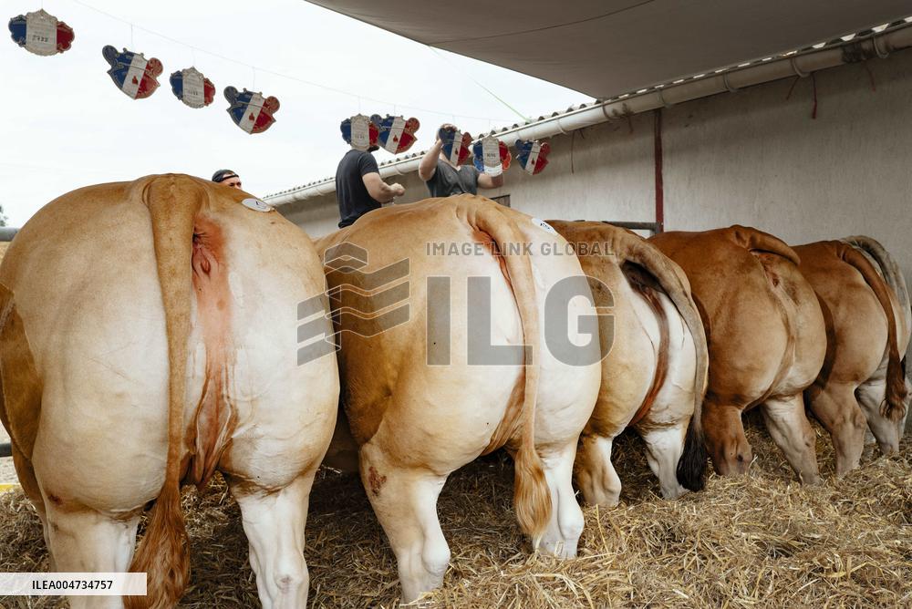 15th edition of Welcome to the Countryside - Montbeton