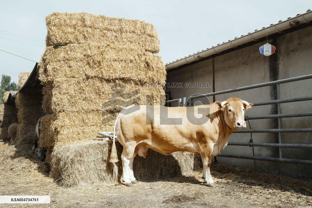 15th edition of Welcome to the Countryside - Montbeton