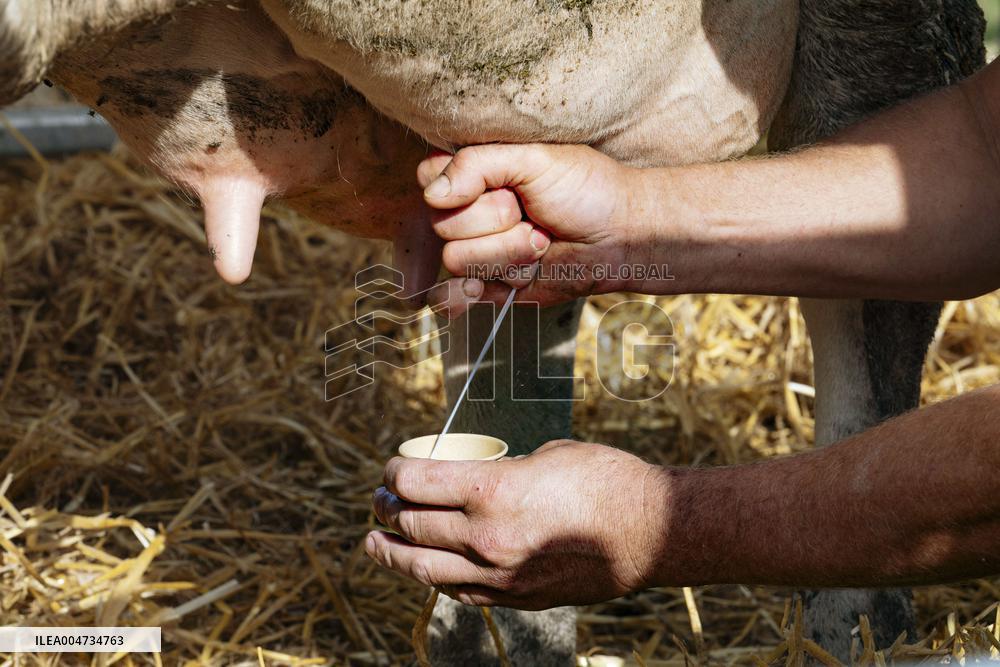 15th edition of Welcome to the Countryside - Montbeton