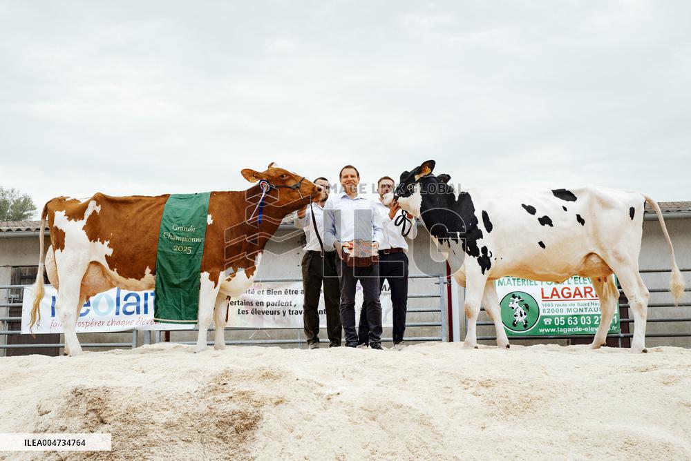 15th edition of Welcome to the Countryside - Montbeton