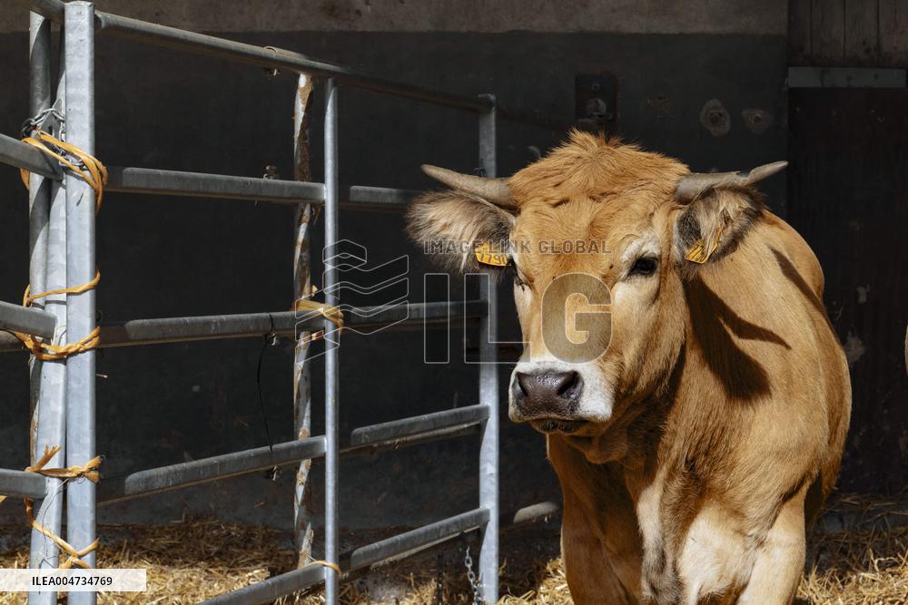 15th edition of Welcome to the Countryside - Montbeton