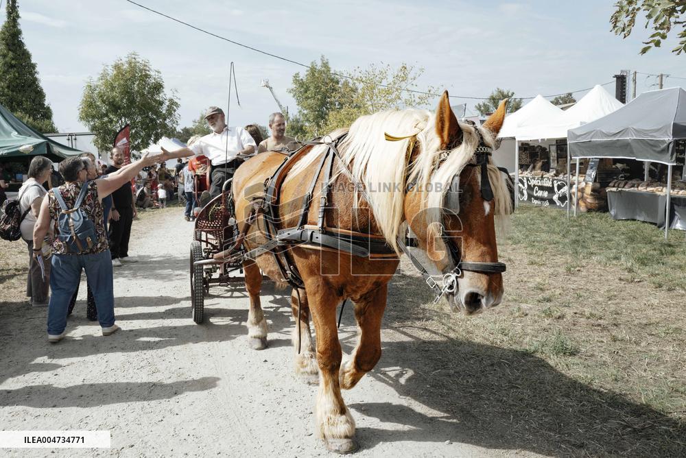 15th edition of Welcome to the Countryside - Montbeton