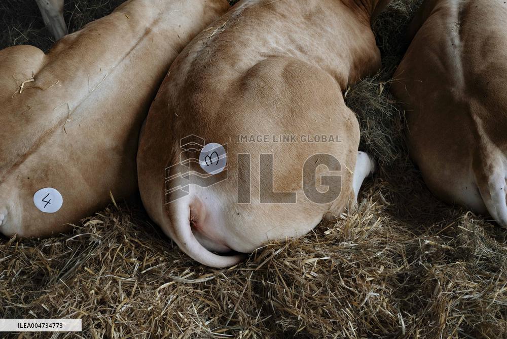 15th edition of Welcome to the Countryside - Montbeton