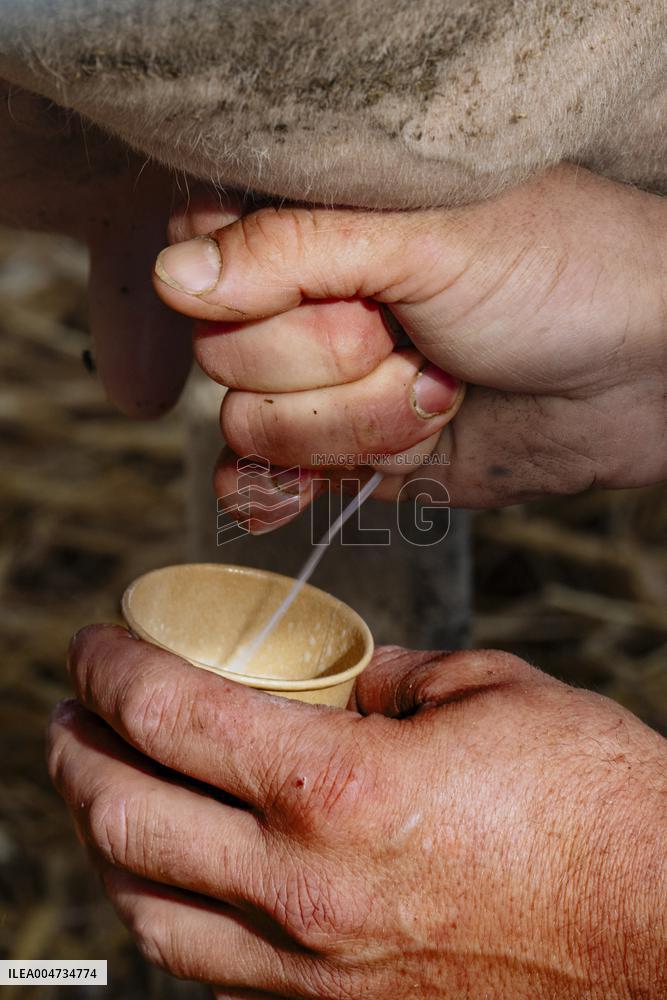 15th edition of Welcome to the Countryside - Montbeton