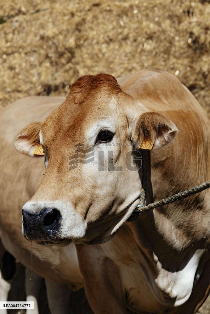 15th edition of Welcome to the Countryside - Montbeton