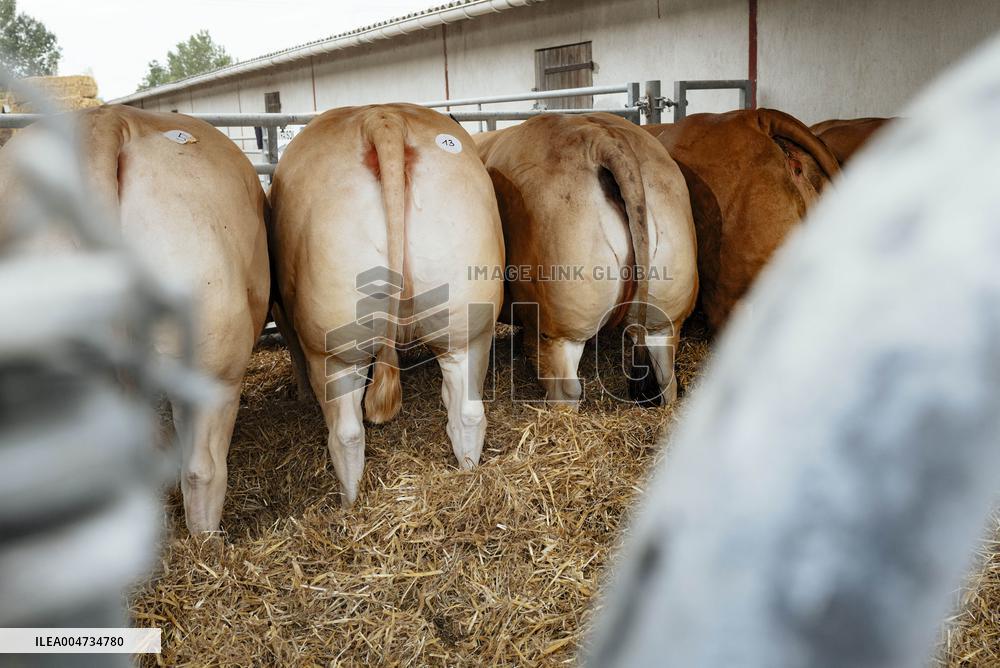 15th edition of Welcome to the Countryside - Montbeton