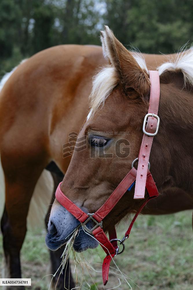 15th edition of Welcome to the Countryside - Montbeton