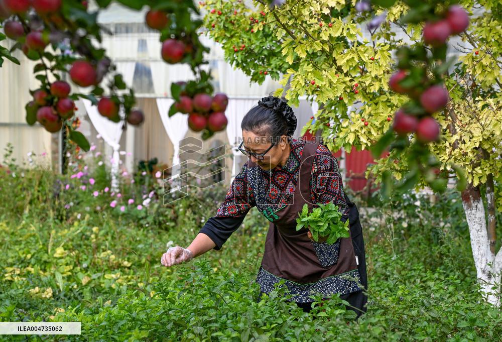 Daily life in Tacheng City