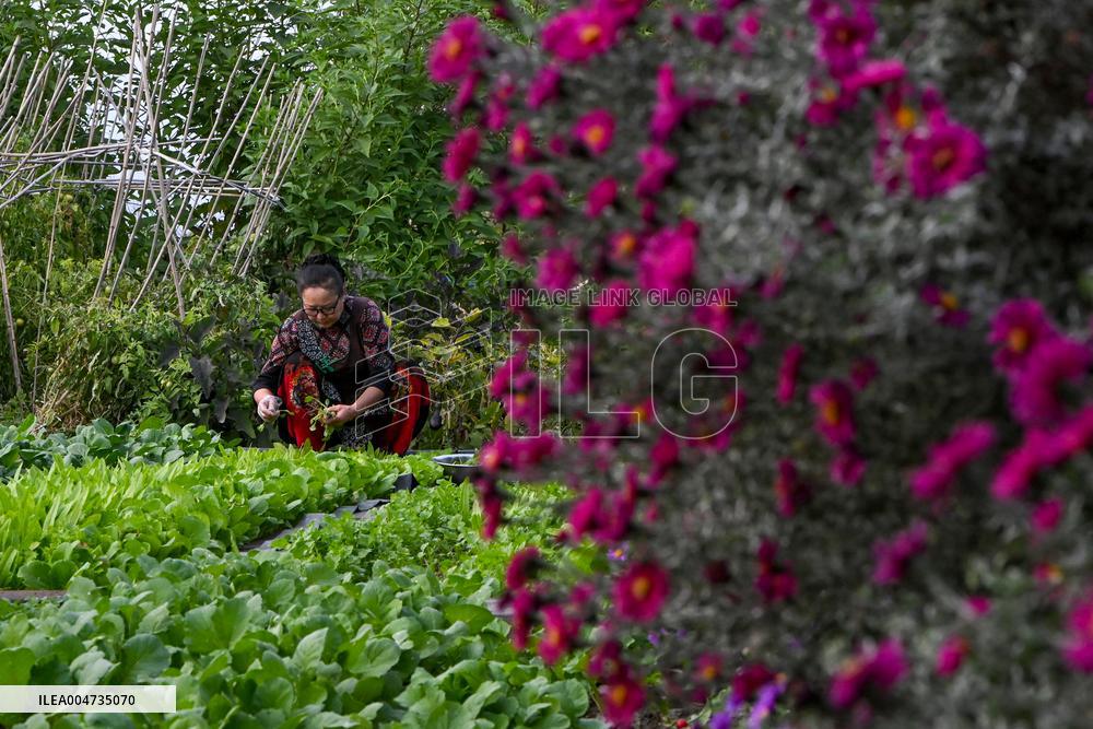 Daily life in Tacheng City