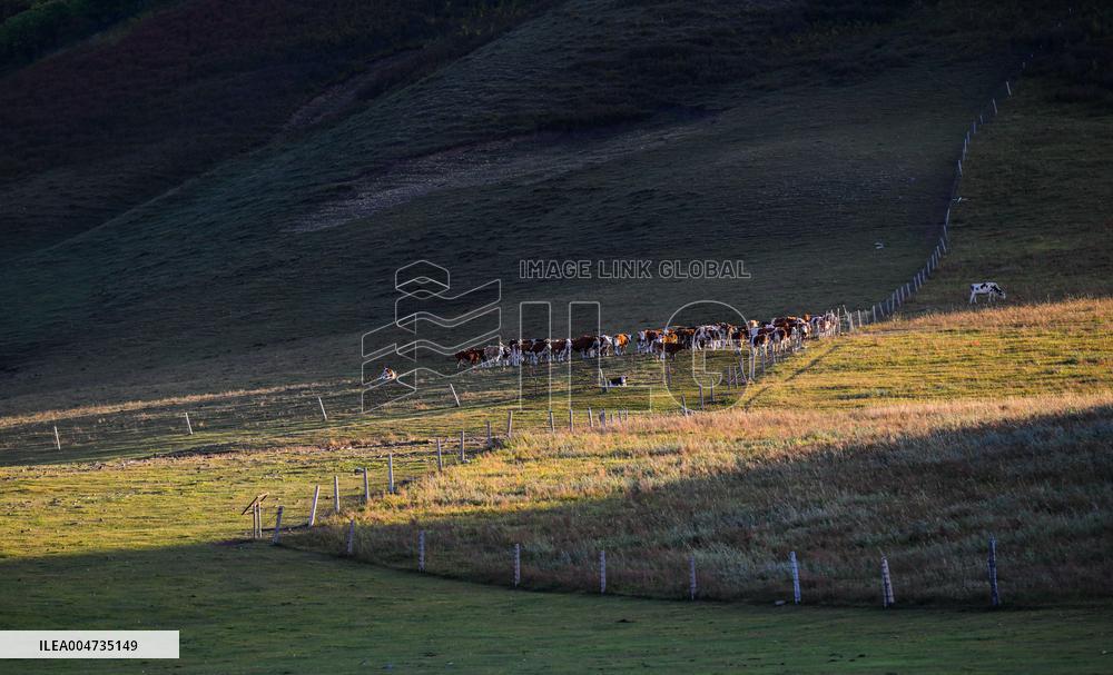 Autumn scenery of the Hanshan Mountain