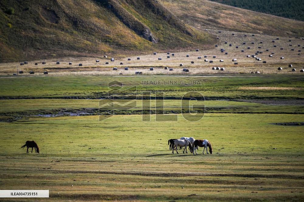 Autumn scenery of the Hanshan Mountain