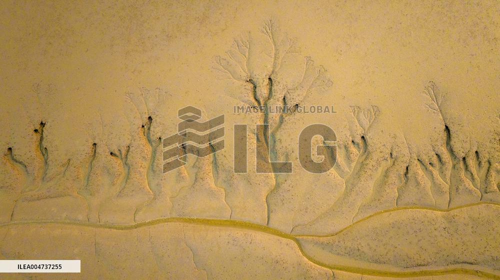 Elk National Nature Reserve in Yancheng