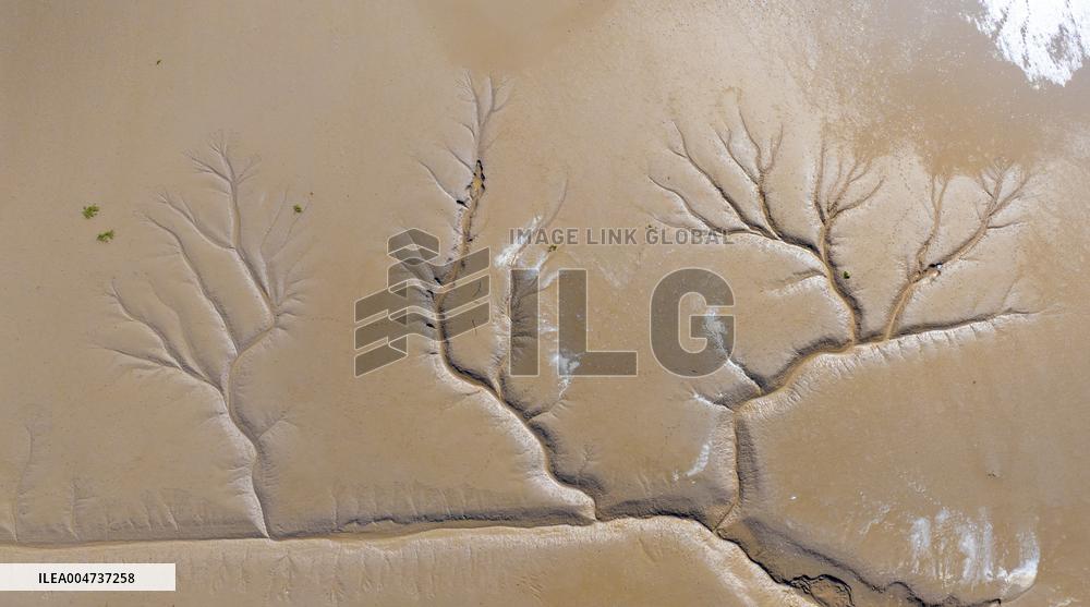 Elk National Nature Reserve in Yancheng