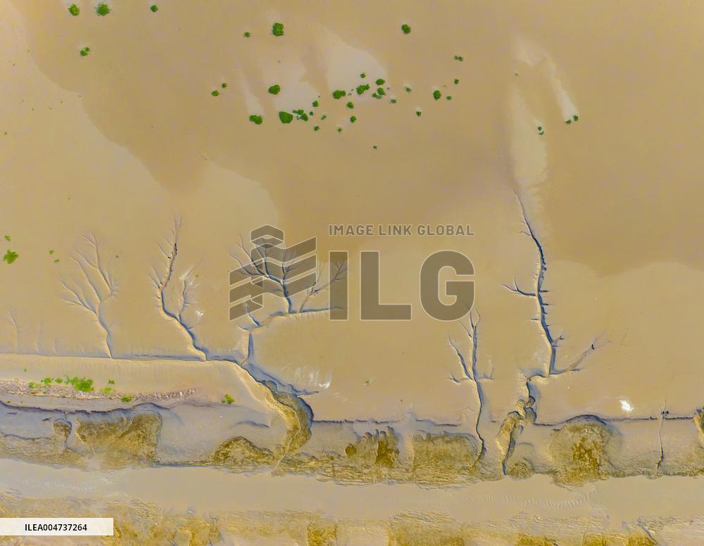 Elk National Nature Reserve in Yancheng