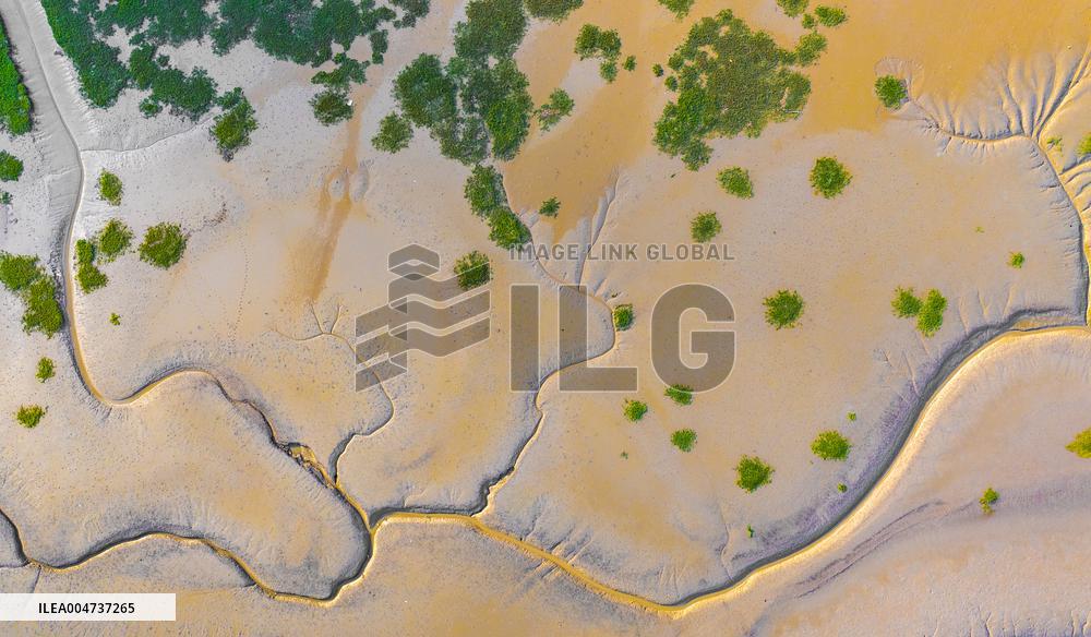 Elk National Nature Reserve in Yancheng