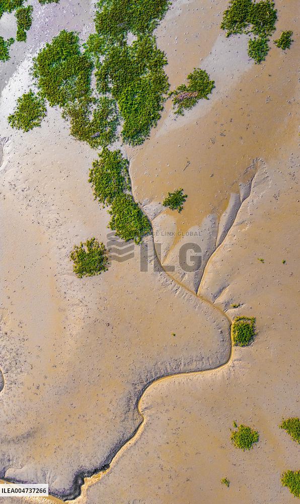 Elk National Nature Reserve in Yancheng