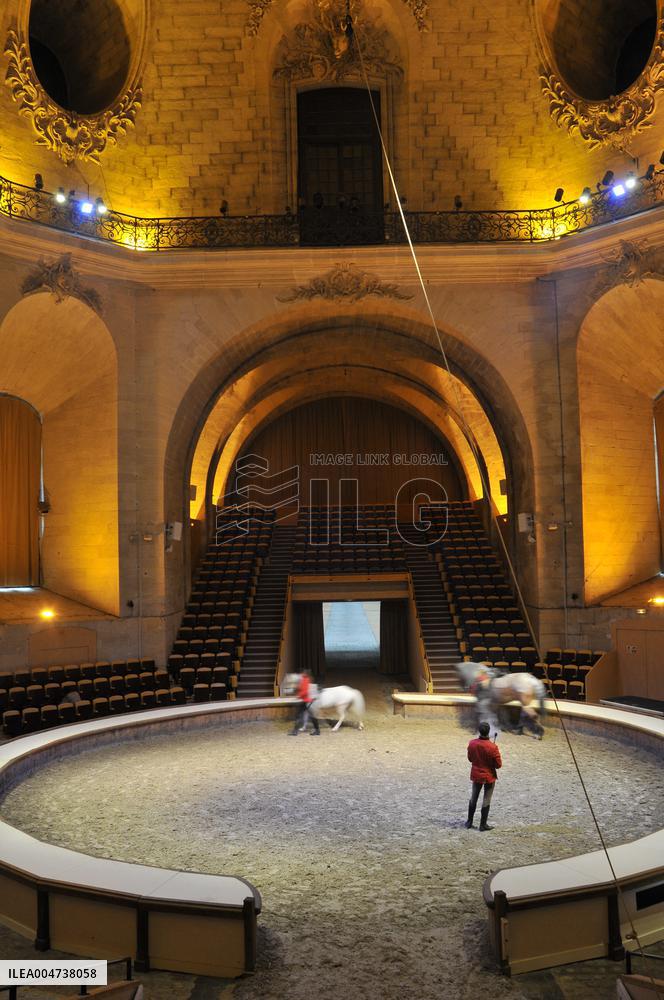 Illustration - Chantilly