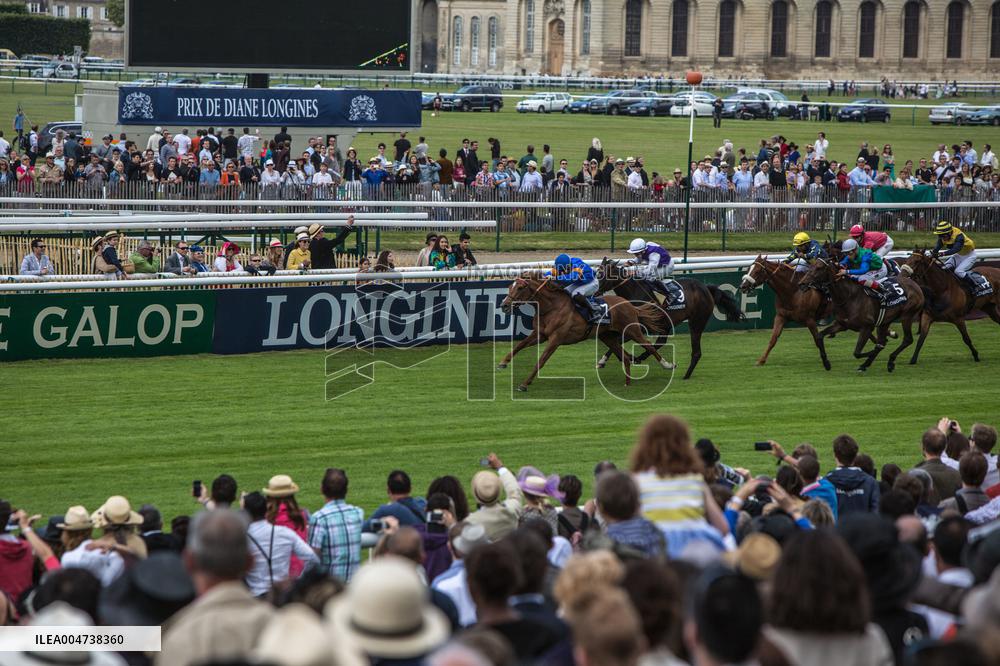 Illustration - Chantilly