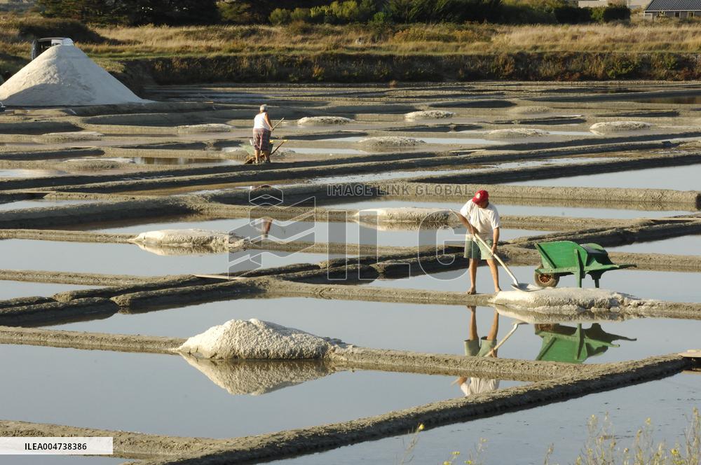 Illustration - Guerande