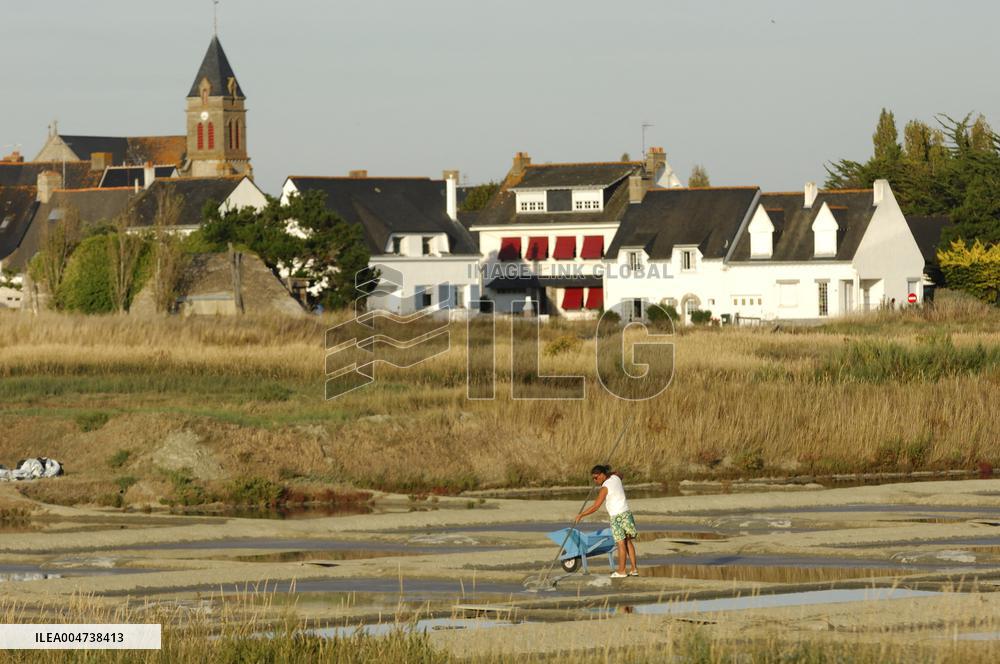 Illustration - Guerande