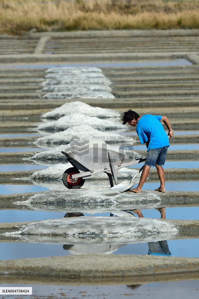 Illustration - Guerande