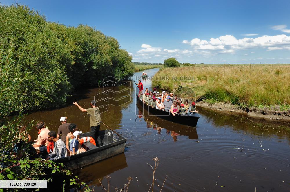 Illustration - Guerande