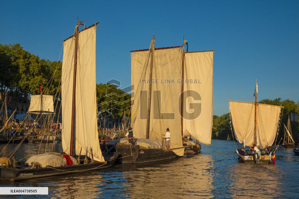Illustration - Festival de Loire