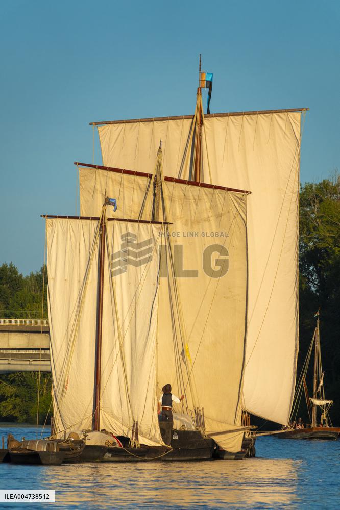Illustration - Festival de Loire
