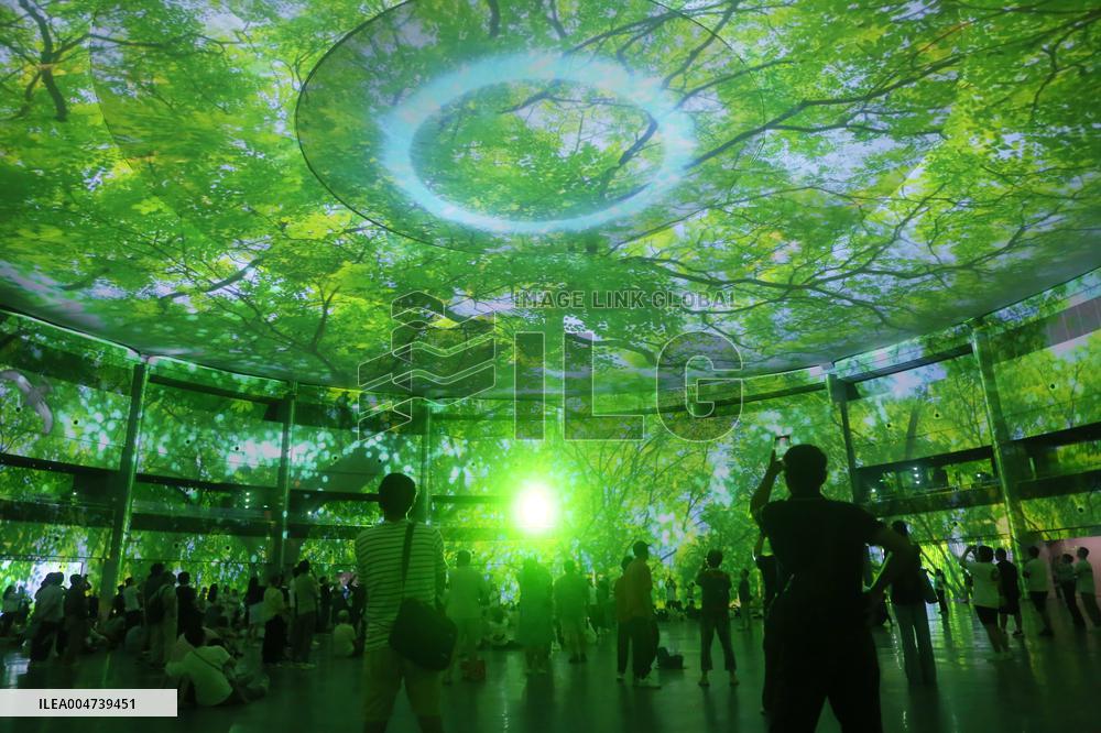 Shanghai International Light Festival 3D Dome Projection Show