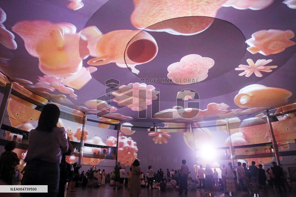 Shanghai International Light Festival 3D Dome Projection Show