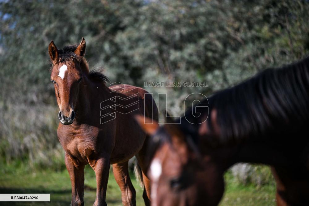 Issyk-Kul Lake  Scenery - Kyrgyzstan