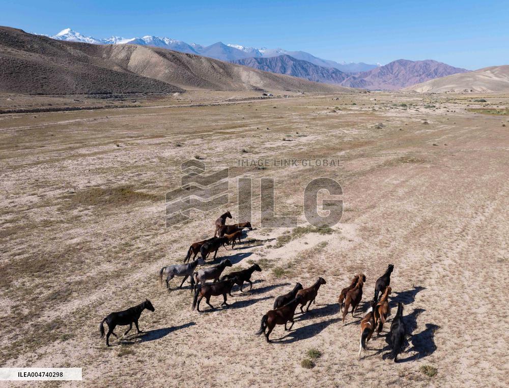 Issyk-Kul Lake  Scenery - Kyrgyzstan