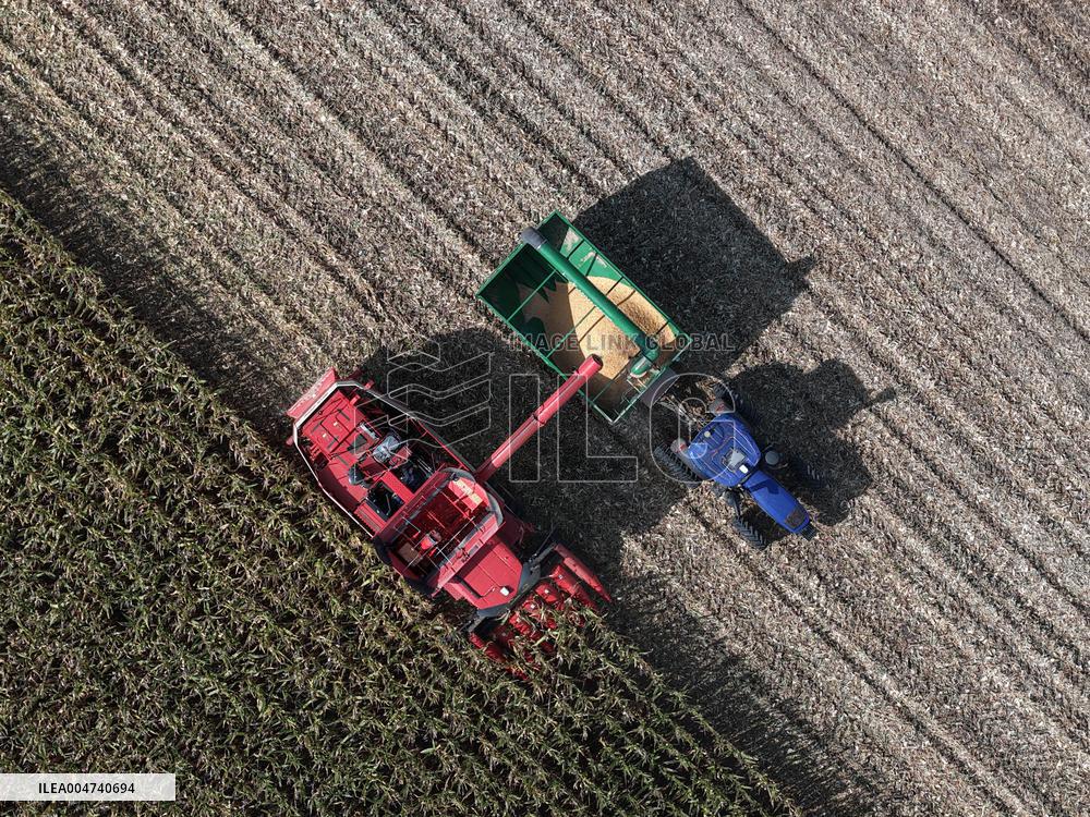 Heilongjiang Autumn Harvest - China