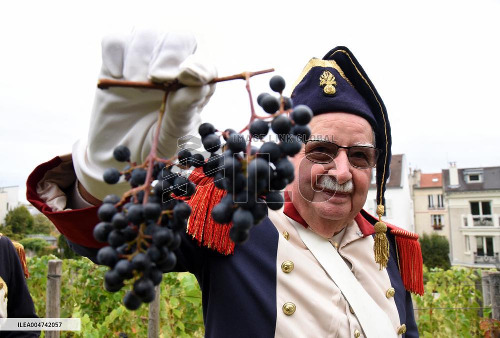 Clos Montmartre Grape Harvest - Paris