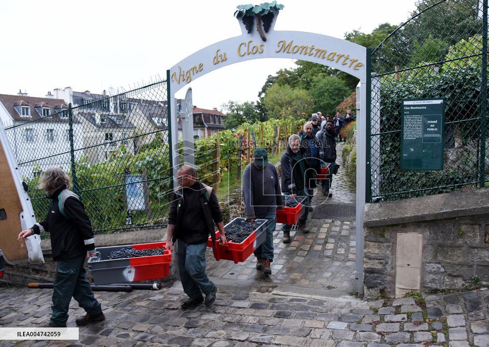 Clos Montmartre Grape Harvest - Paris