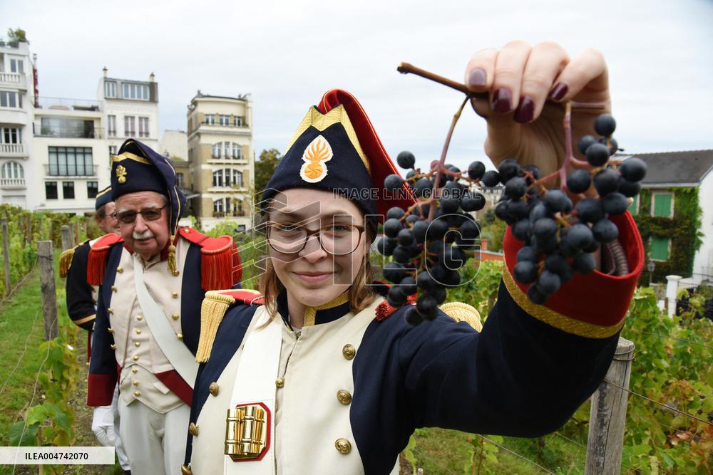 Clos Montmartre Grape Harvest - Paris
