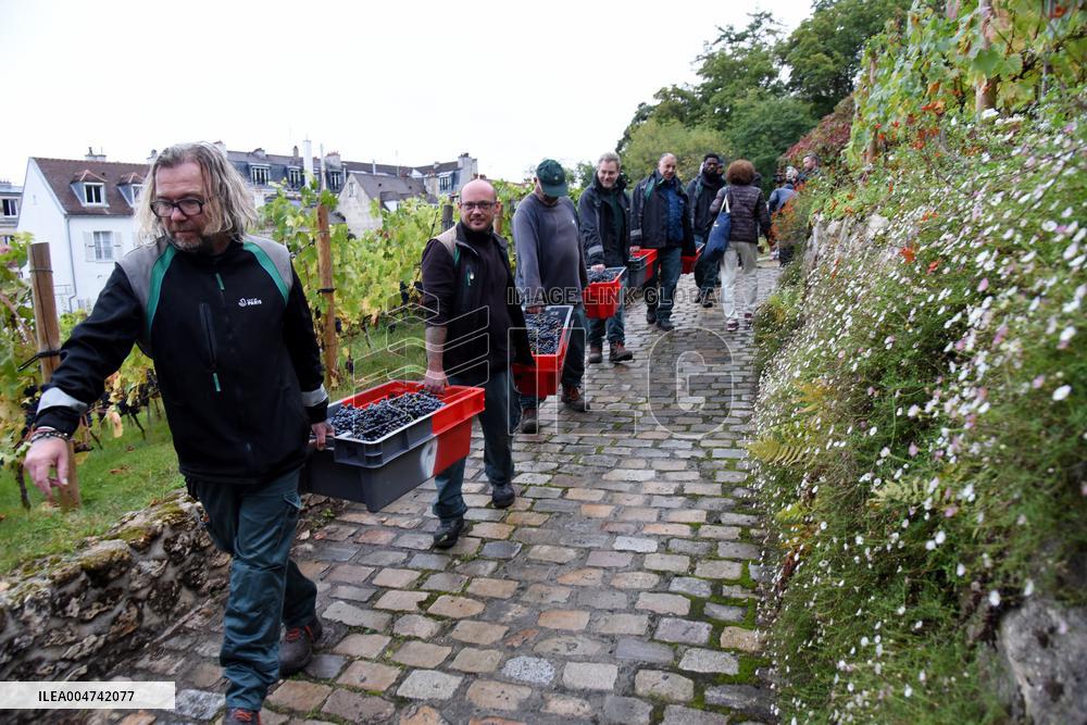 Clos Montmartre Grape Harvest - Paris